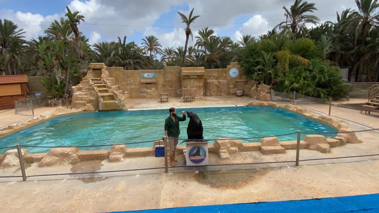 Apartamentos Yanina Gran Alacant Santa Pola Exteriör bild